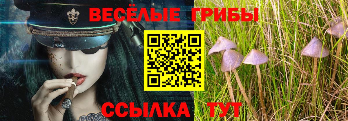 Воскресенск  Галлюциногенные грибы GOLDEN TEACHER  Галлюциногенные грибы Cubensis  Вход с VPN 